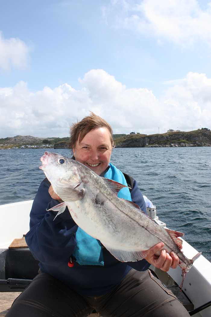 Schöner Schellfisch im Frühjahr